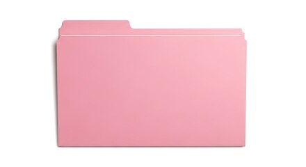 Empty pink file folder standing upright against white background © FERD