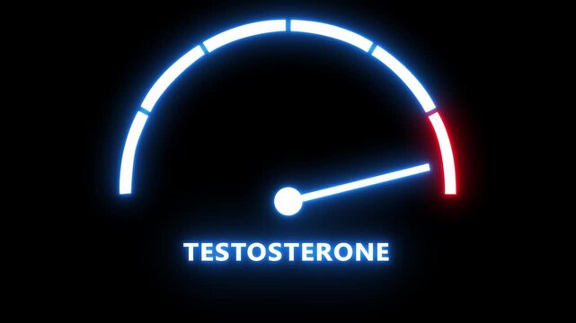 Testosterone level gauge animation: digital meter measuring hormone levels and vitality