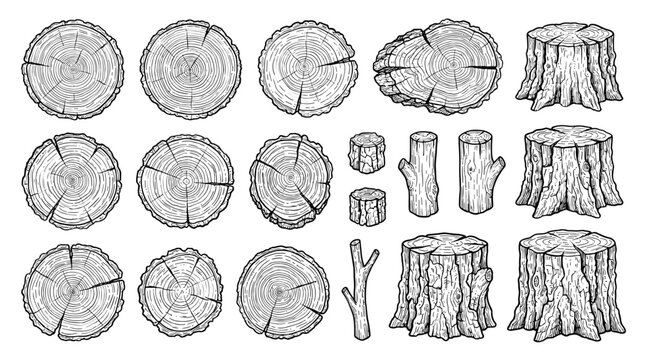 Vintage Tree Trunk Cross Section and Wood Log Asset Pack Featuring Hand Drawn Monochrome Sketches of Growth Rings Bark Textures Stumps and Twigs Vector Graphics
