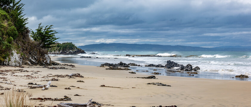 Sandstrand am Kaka Point Beach mit bewaldeter Klippe, Treibholz und Brandung unter Wolkenhimmel, Otago, Neuseeland
