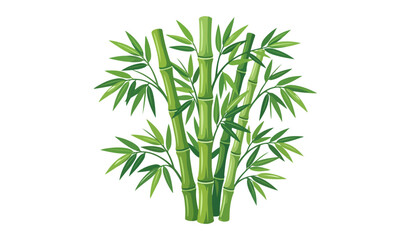 Obraz premium bamboo clipart vector illustration