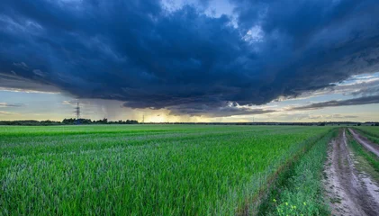Fototapete Grün Dark storm clouds loom over vibrant green fields  © Sergei