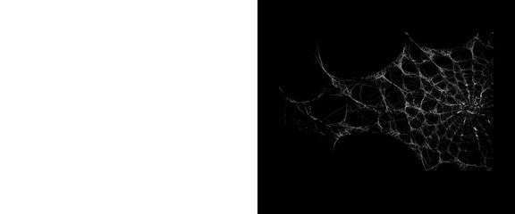 Spooky spiderweb on black background, creepy spider web texture, halloween design element