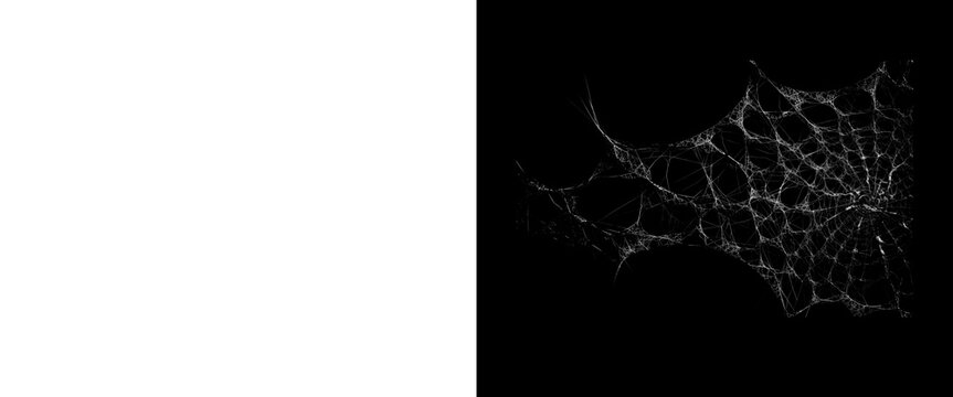 Spooky spiderweb on black background, creepy spider web texture, halloween design element