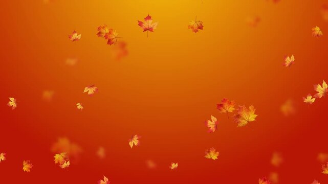 colorful autumn leaves falling orange 4k animation, leaf fall thanksgiving and Halloween celebration video stream social media motion background