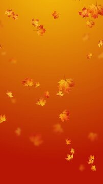colorful autumn leaves falling orange 4k animation, leaf fall thanksgiving and Halloween celebration video stream vertical social media motion background
