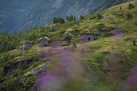 Old mountain huts on a slope covered with low trees and heath, near Geiranger, UNESCO World Heritage Site Geiranger Fjord, Stranda Municipality, M&oslash;re og Romsdal, Norway