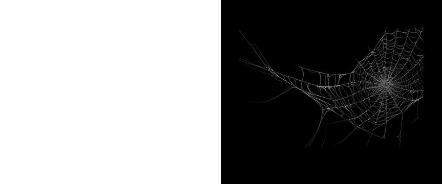 Spooky spider web on black background, delicate cobweb texture, creepy Halloween design element