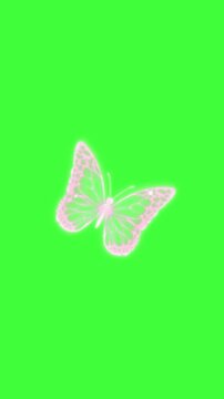 Transparent-wing butterfly animation with delicate fluttering motion, ideal for elegant overlays, nature footage, wedding videos, fantasy compositions, and soft visual effects.
