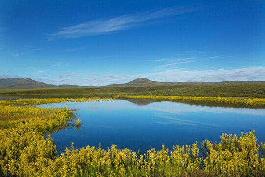 Lake in tundra