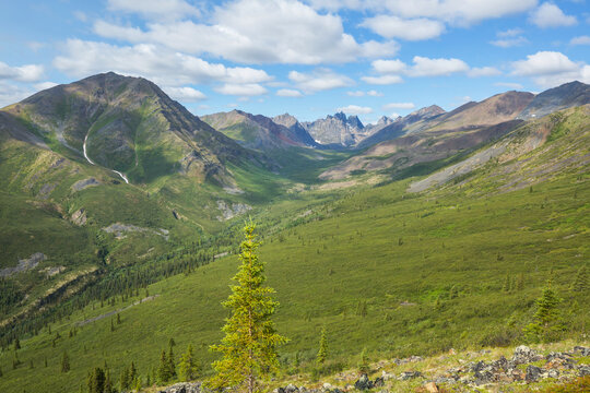 Mountains in polar tundra