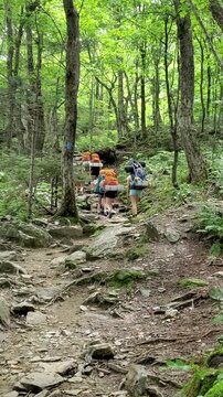 A group of climbers are hiking in the mountains. New England, USA