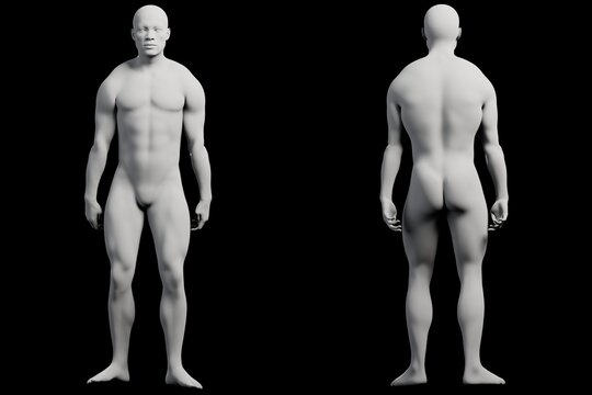 3D mannequin figure standing idle front and back views
