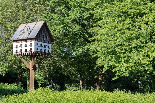 kulmbach, deutschland - vogelhaus im stadtpark