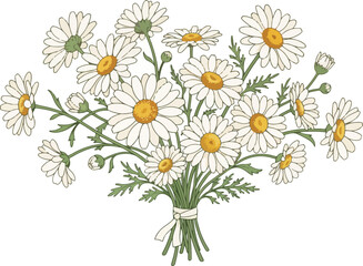 Fototapeta premium bouquet of camomiles