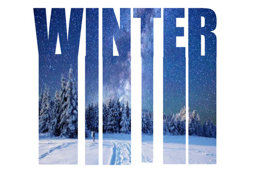 Winter typography showcases snowy forest and starry night sky within letterforms snowscape nightsky lettering