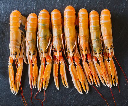 Dublin bay prawns