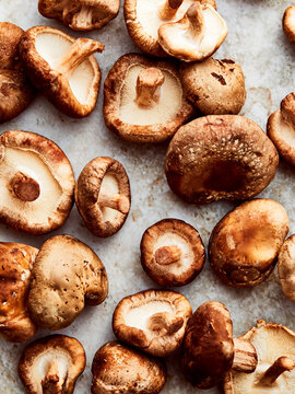 Shiitakes