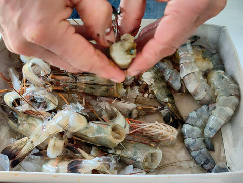 Peeling scampi