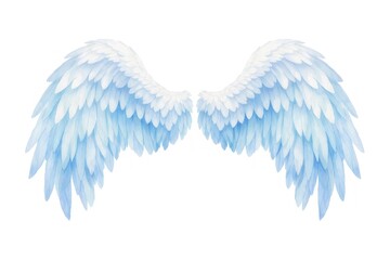 Obraz premium Illustration of large, detailed white and blue angel wings on white.
