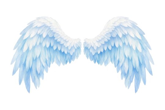 Illustration of large, detailed white and blue angel wings on white.