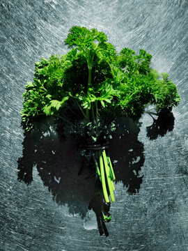 A bunch of Parsley