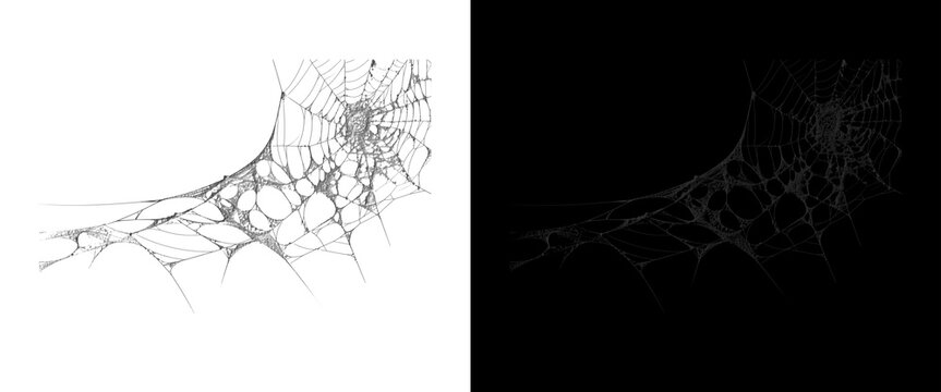 Spooky spiderweb corner element, creepy spider web overlay on white and black background, Halloween design asset