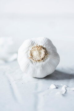 Garlic head