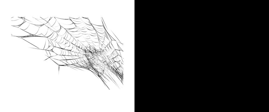 Spooky spider web corner element, hand-drawn cobweb sketch on white background, gothic halloween design asset