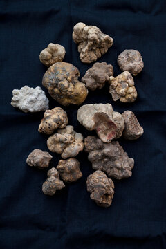 White Alba Truffle (Tuber Magnatum Pico)