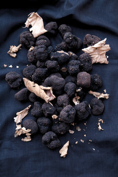 Summer truffle (Tuber aestivum Vittadini)