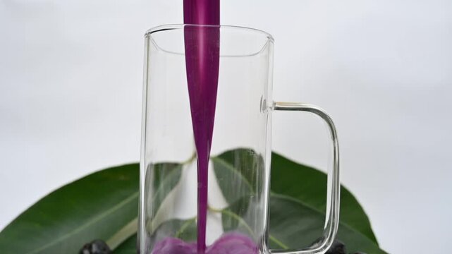 Syzygium cumini fruits juice. Its other names is Malabar plum, Java plum, black plum, jamun and jambolan. This fruit has anti diabetic properties. Indian jamun juice. Healthy drink. Fruit juice. 
