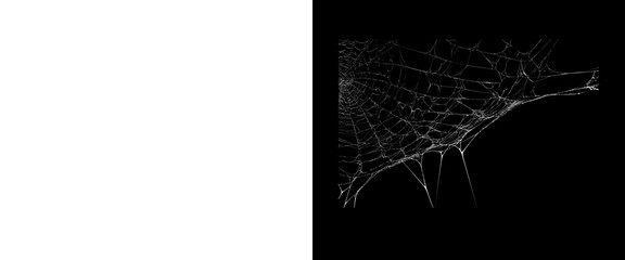 Spooky spider web on black background, creepy cobweb texture for Halloween design, dark gothic background element © Mehnaz