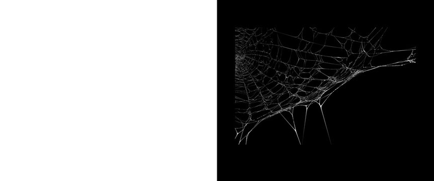 Spooky spider web on black background, creepy cobweb texture for Halloween design, dark gothic background element