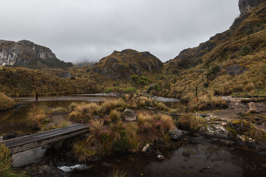 Wooden Footbridges and Hiking Trail Through a High-Altitude P&aacute;ramo Landscape in Cajas National Park, Ecuador