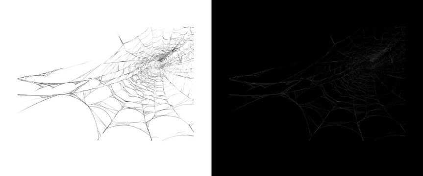 Spooky spider web overlay set, creepy cobweb textures on black and white backgrounds, Halloween design elements