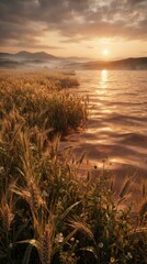 Fototapeta premium Golden wheat field by a lake at sunset with distant mountains