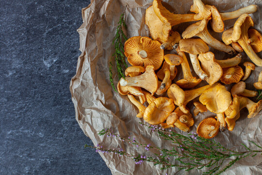 Fresh raw chanterelle mushrooms on crumpled paper with forest twigs, top view. Rustic, earthy aesthetic, natural autumn harvest and organic food.