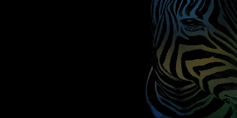 Stylized zebra portrait with colorful gradient stripes on solid black background cutout. © Md