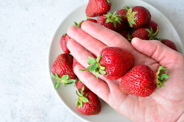 Hand Holding Fresh Strawberry Over Plate of Strawberries copy space © Irina
