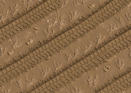 Seamless mud tire tracks texture with wet clay soil and tire marks background
