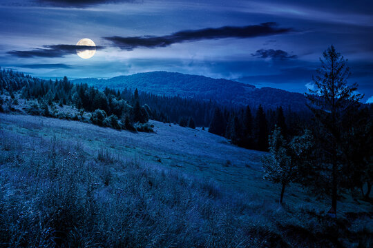 countryside mountain landscape in summer at night. full moon over Borzhava mountain ridge behind the green pasture. view of field near coniferous forest