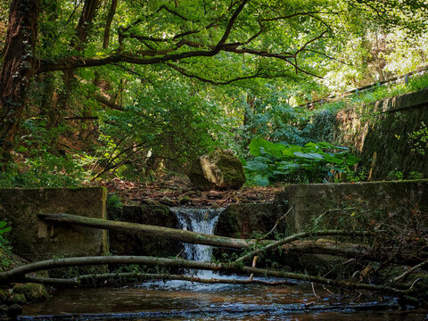 Small weir and flowing water on the Szinva stream surrounded by dense forest vegetation between Als&oacute;h&aacute;mor and Felsőh&aacute;mor in the B&uuml;kk Mountains, Hungary.