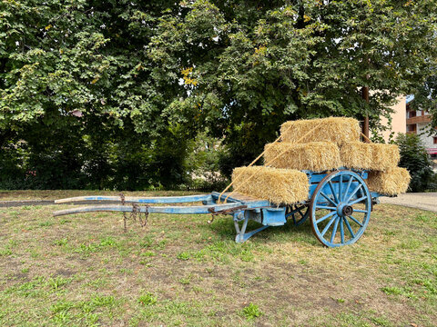 A blue wagon loaded with hay bales in a grassy field
