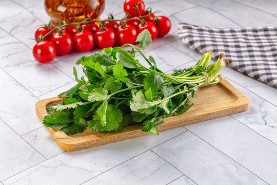 Fresh cilantro on wooden cutting board with cherry tomatoes and olive oil