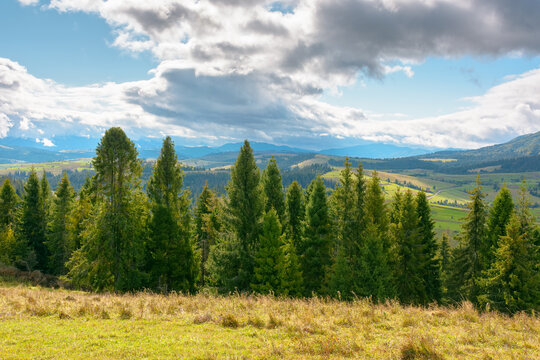 mountain landscape of ukraine with spruce forest. rural valley of podobovets in the distance. cloudy sky. serotinal background for carpathian countryside adventures