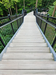 Fototapeta premium Long wooden staircase in a natural setting. Perspective view of a wooden staircase with steps and railing in a Quebec park. Hiking and outdoor activities.