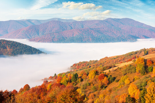 valley in morning fog. carpathian mountain landscape in autumn. scenic view of an alpine countryside in fall season