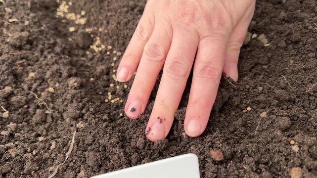 Farmer marking a fresh vegetable garden bed with a T-shaped tag mockup during spring gardening season