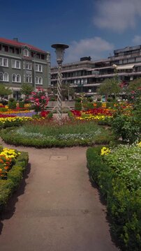 Wide Shot of a Colorful Flower Garden in Braga